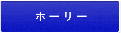 ホーリー1.png